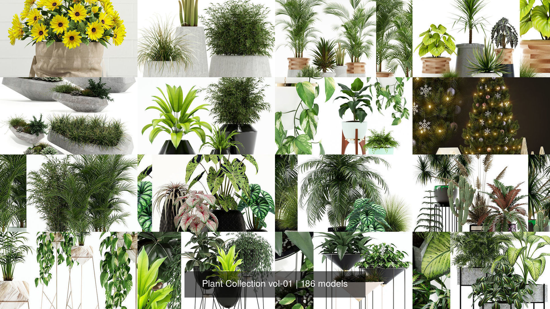 Plant Collection vol-01 _86