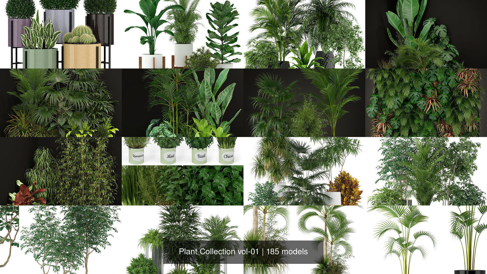 Plant Collection vol-01 _209