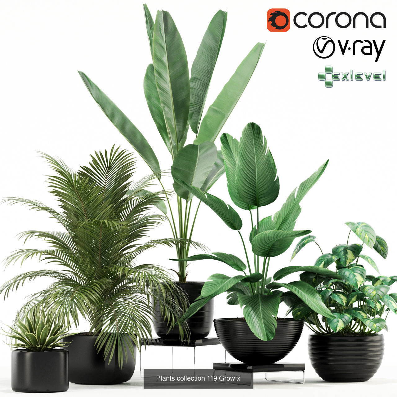 Plant Collection vol-01 _353