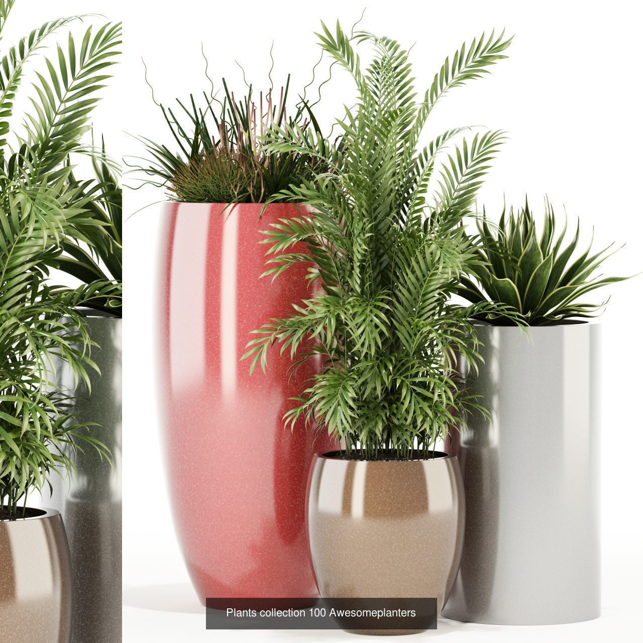 Plant Collection vol-01 _330