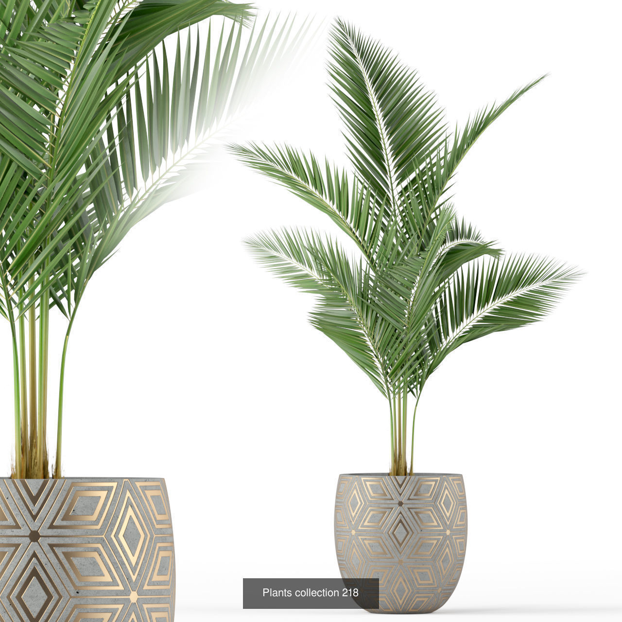 Plant Collection vol-01 _446