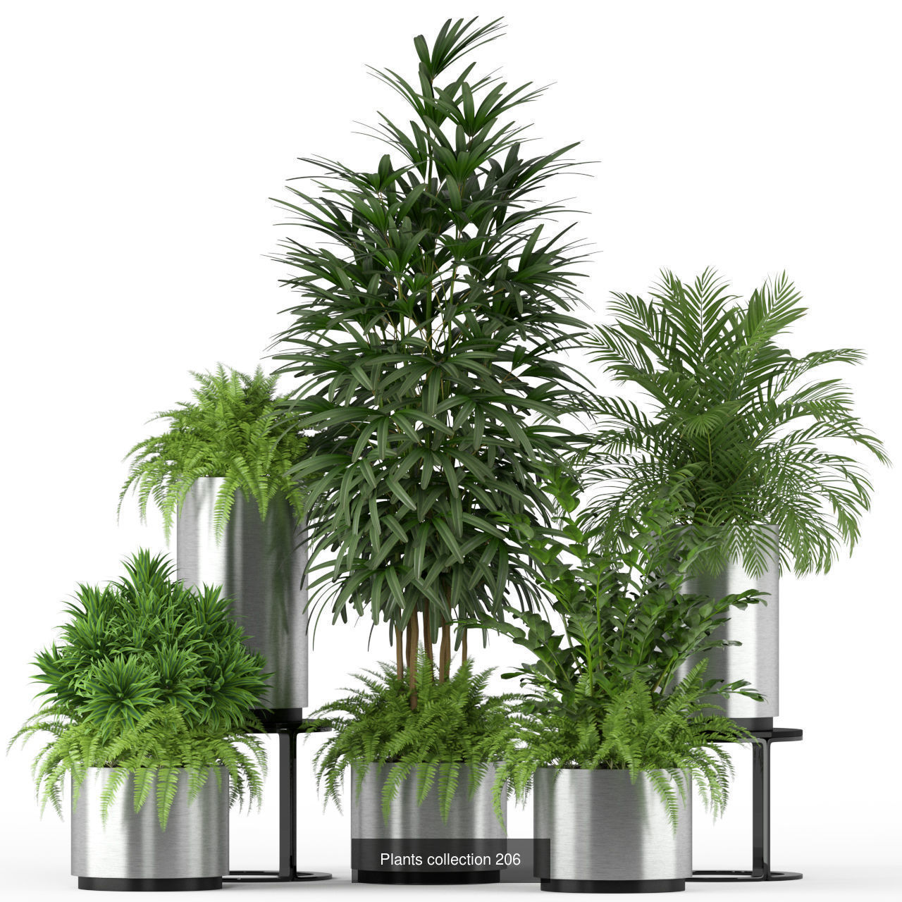 Plant Collection vol-01 _434