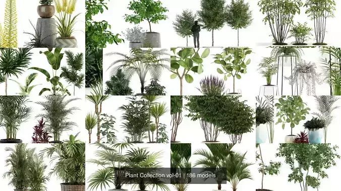 Plant Collection vol-01 
