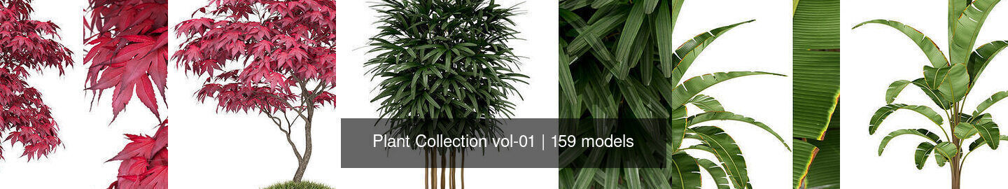 Plant Collection vol-01 _156