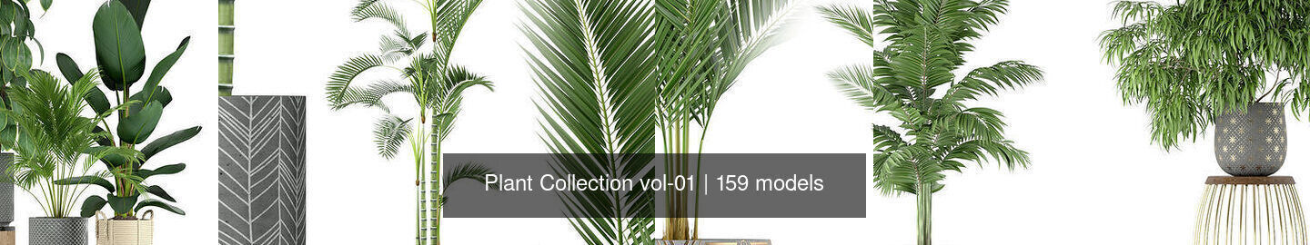 Plant Collection vol-01 _257