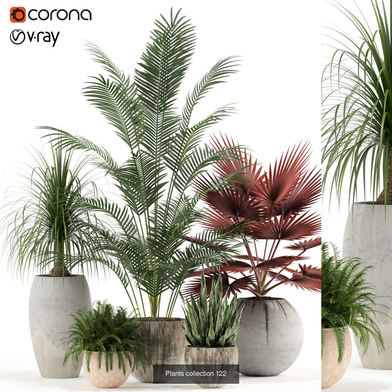 Plant Collection vol-01 _355