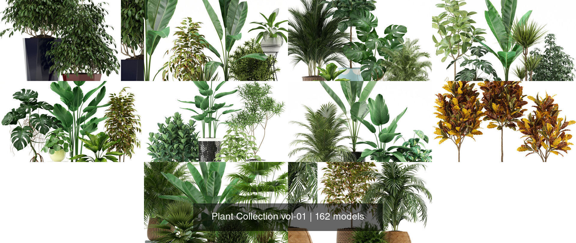 Plant Collection vol-01 _70