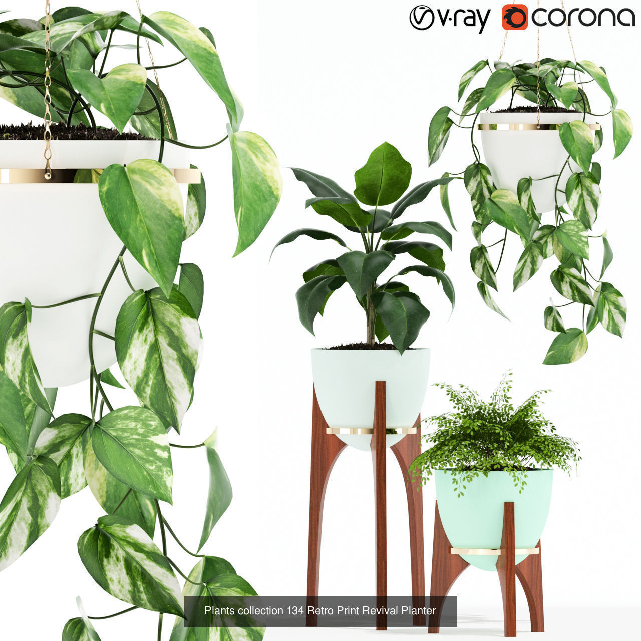 Plant Collection vol-01 _362