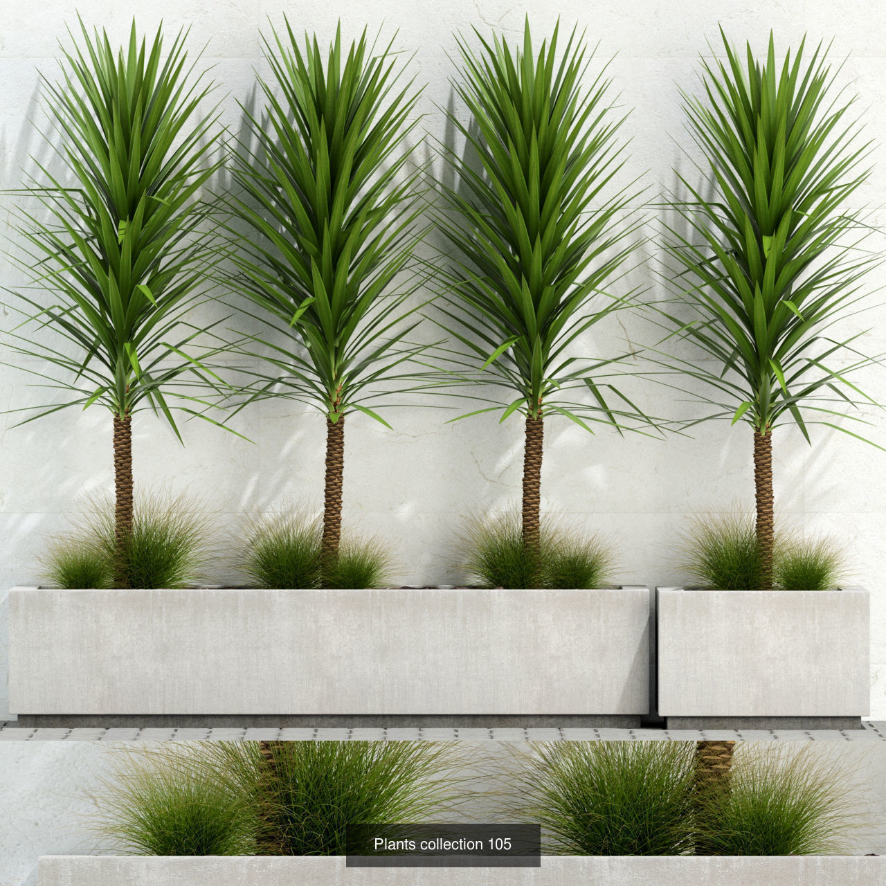 Plant Collection vol-01 _335