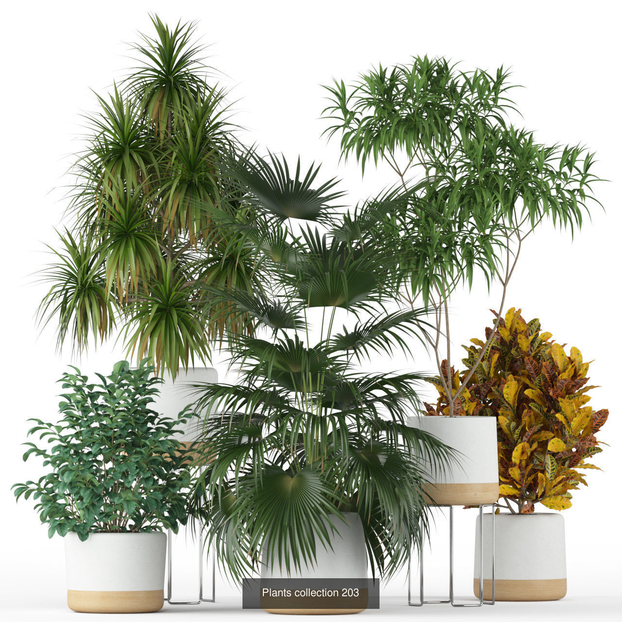 Plant Collection vol-01 _431