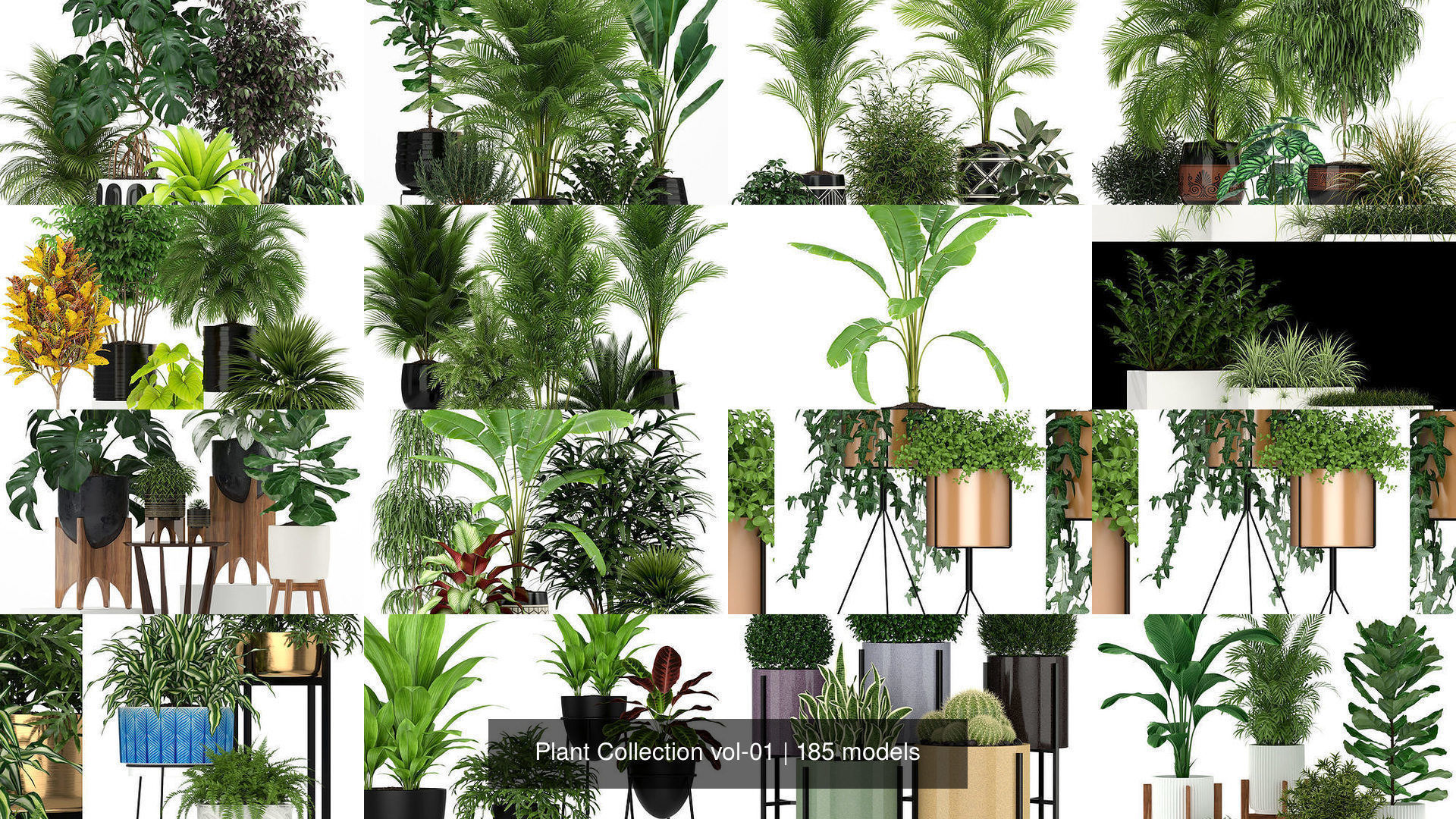 Plant Collection vol-01 _180