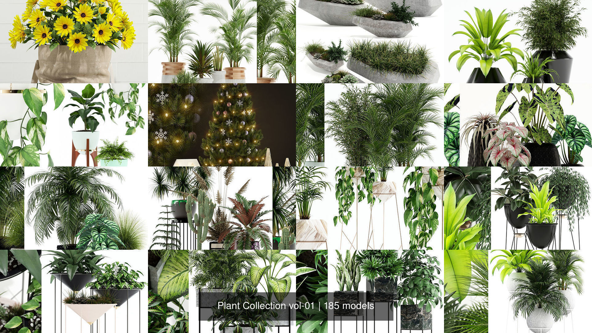 Plant Collection vol-01 _87