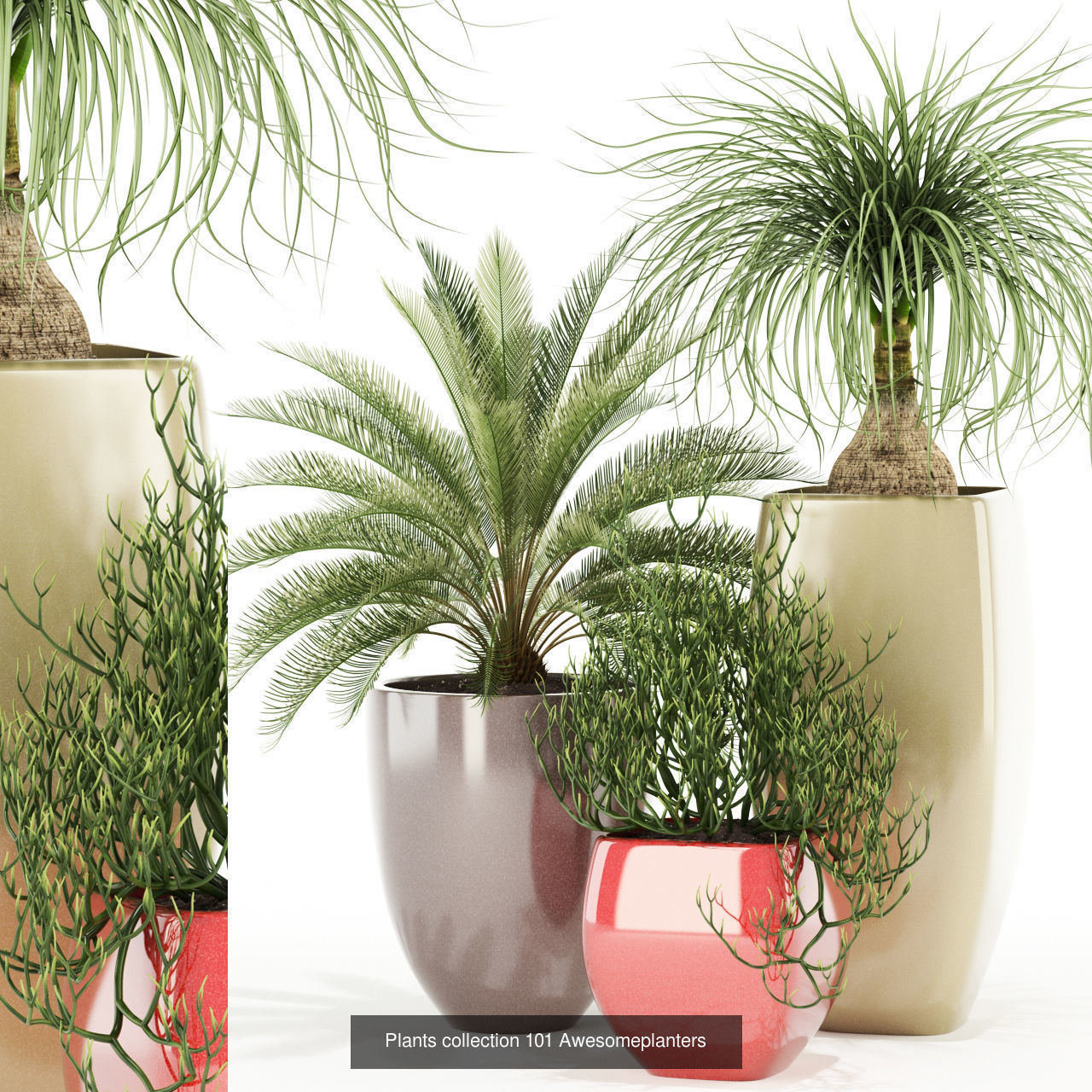 Plant Collection vol-01 _332