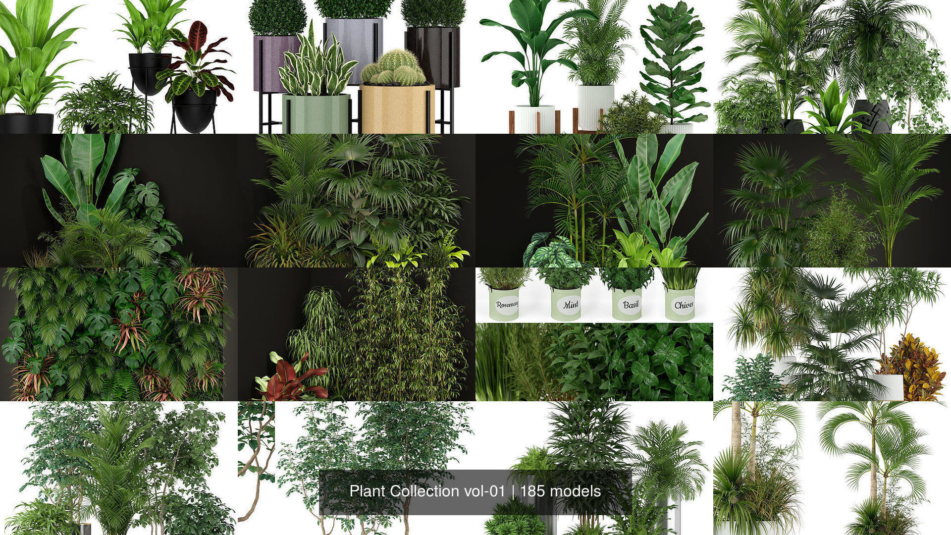 Plant Collection vol-01 _210