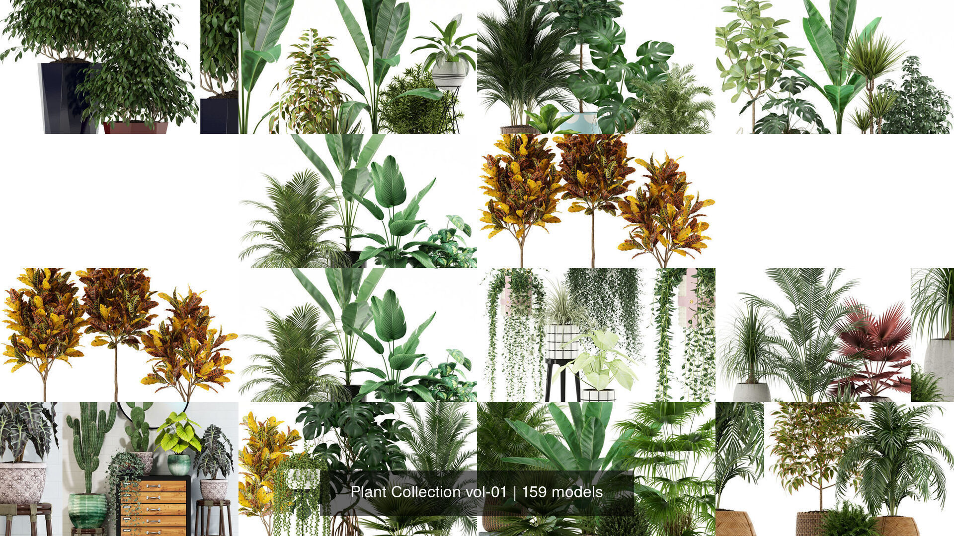 Plant Collection vol-01 _80