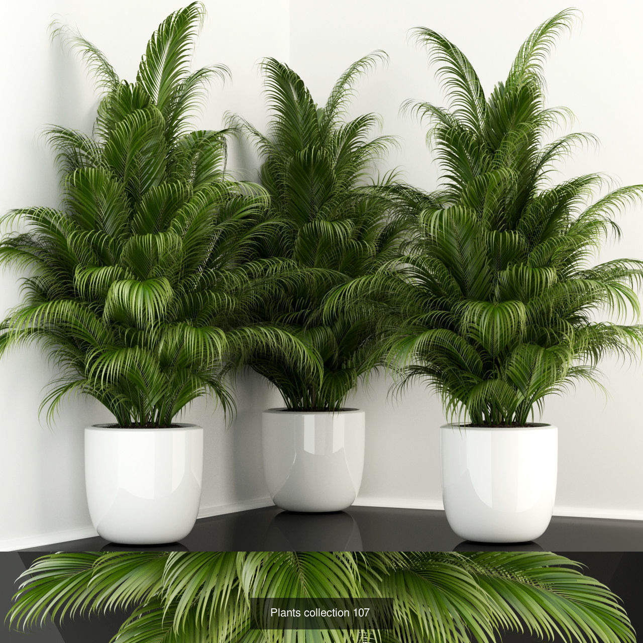 Plant Collection vol-01 _337