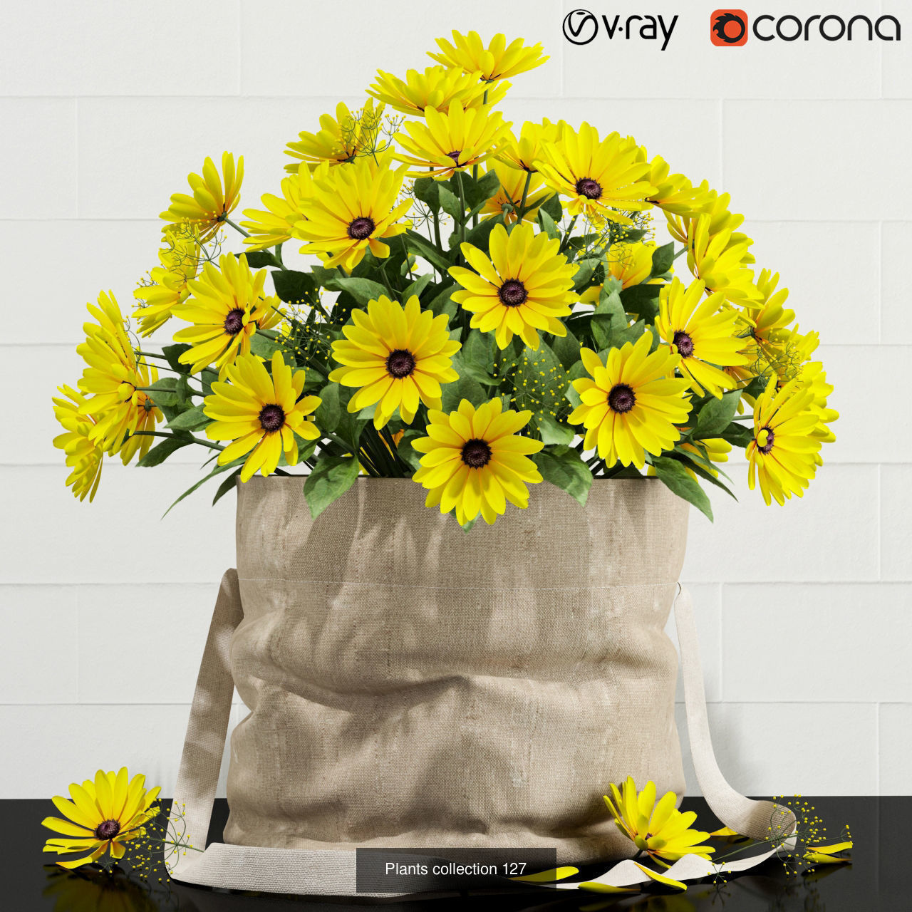 Plant Collection vol-01 _360