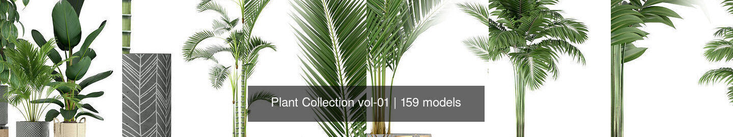Plant Collection vol-01 _252