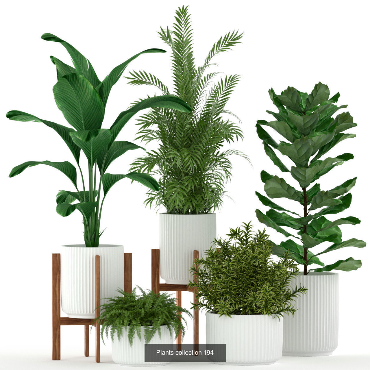 Plant Collection vol-01 _422