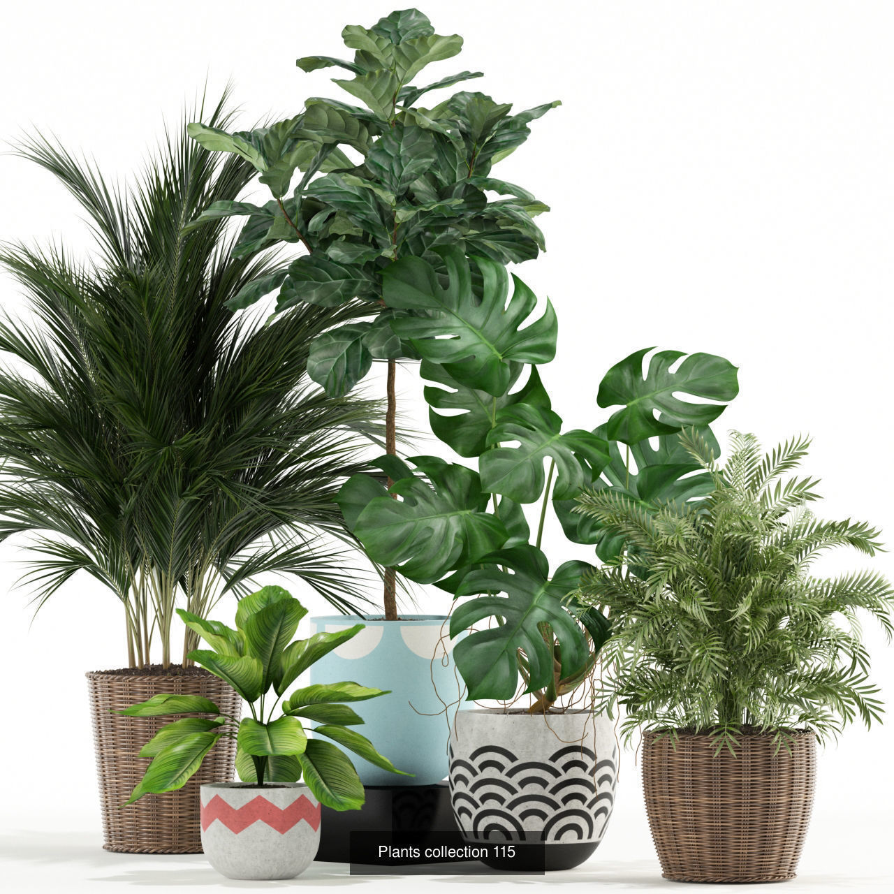 Plant Collection vol-01 _346