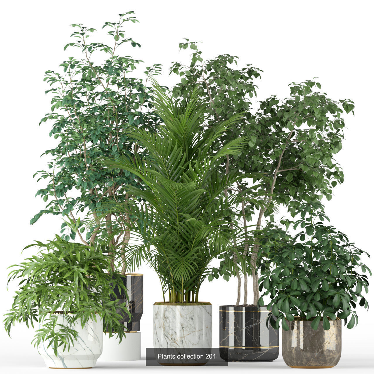 Plant Collection vol-01 _432