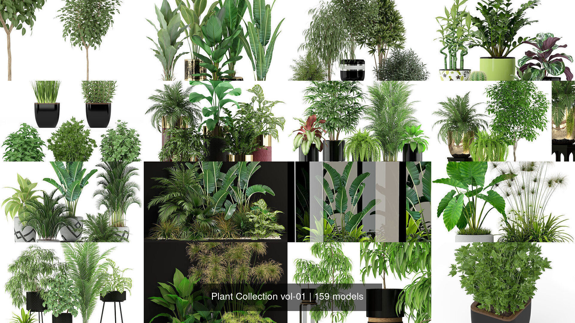 Plant Collection vol-01 _300