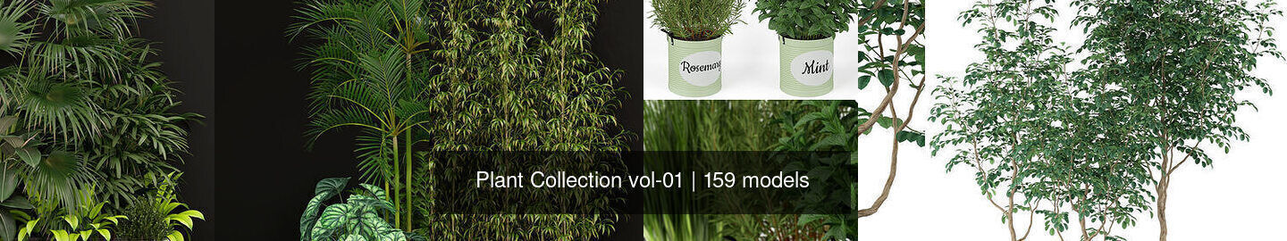 Plant Collection vol-01 _236