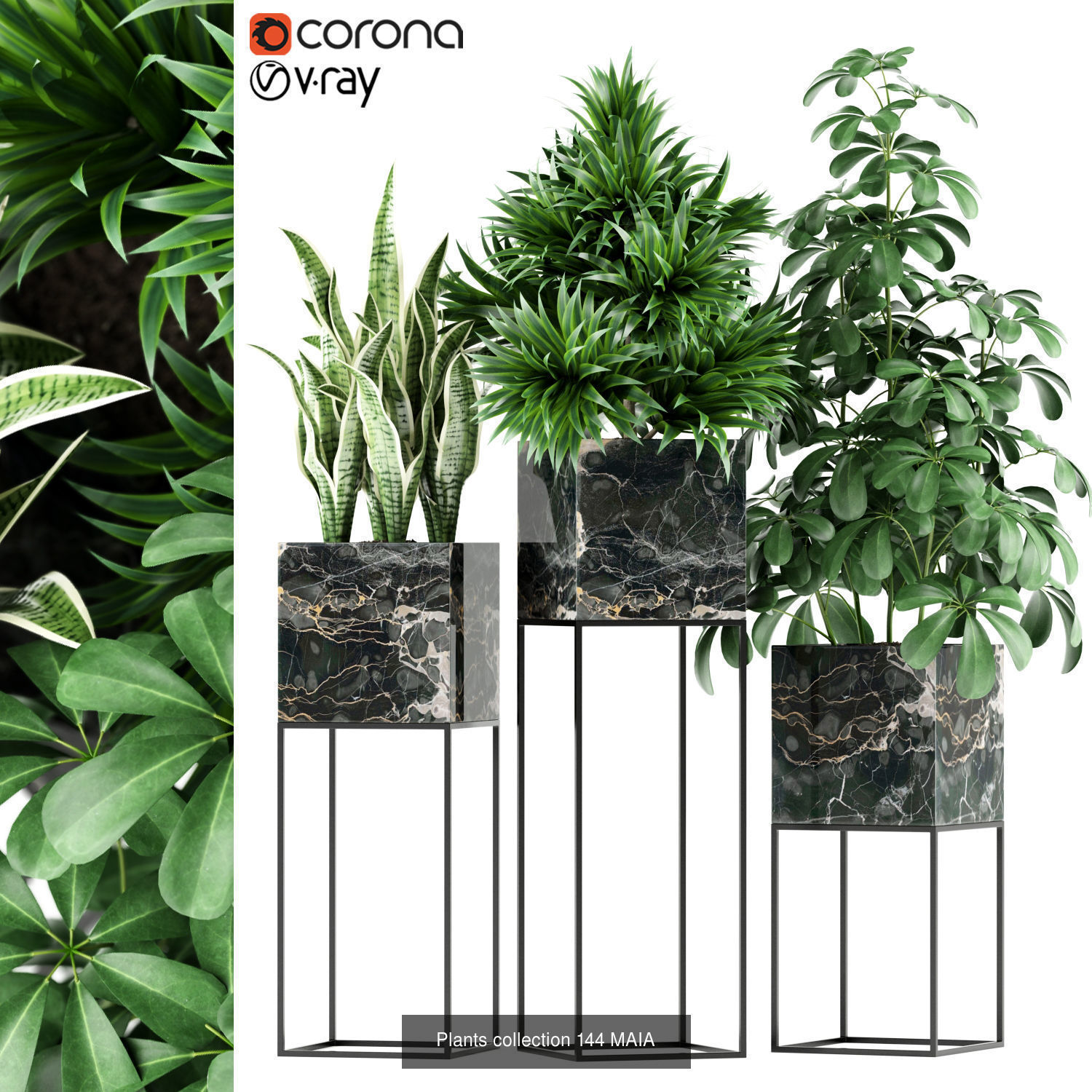 Plant Collection vol-01 _372