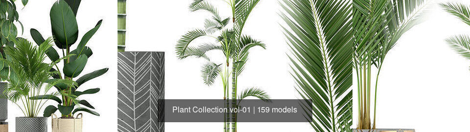 Plant Collection vol-01 _258