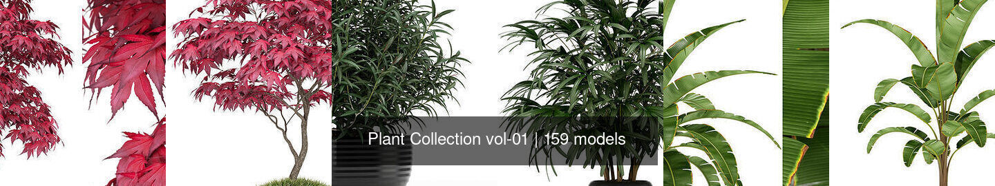 Plant Collection vol-01 _168
