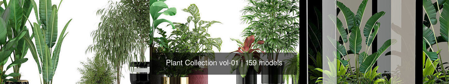 Plant Collection vol-01 _286