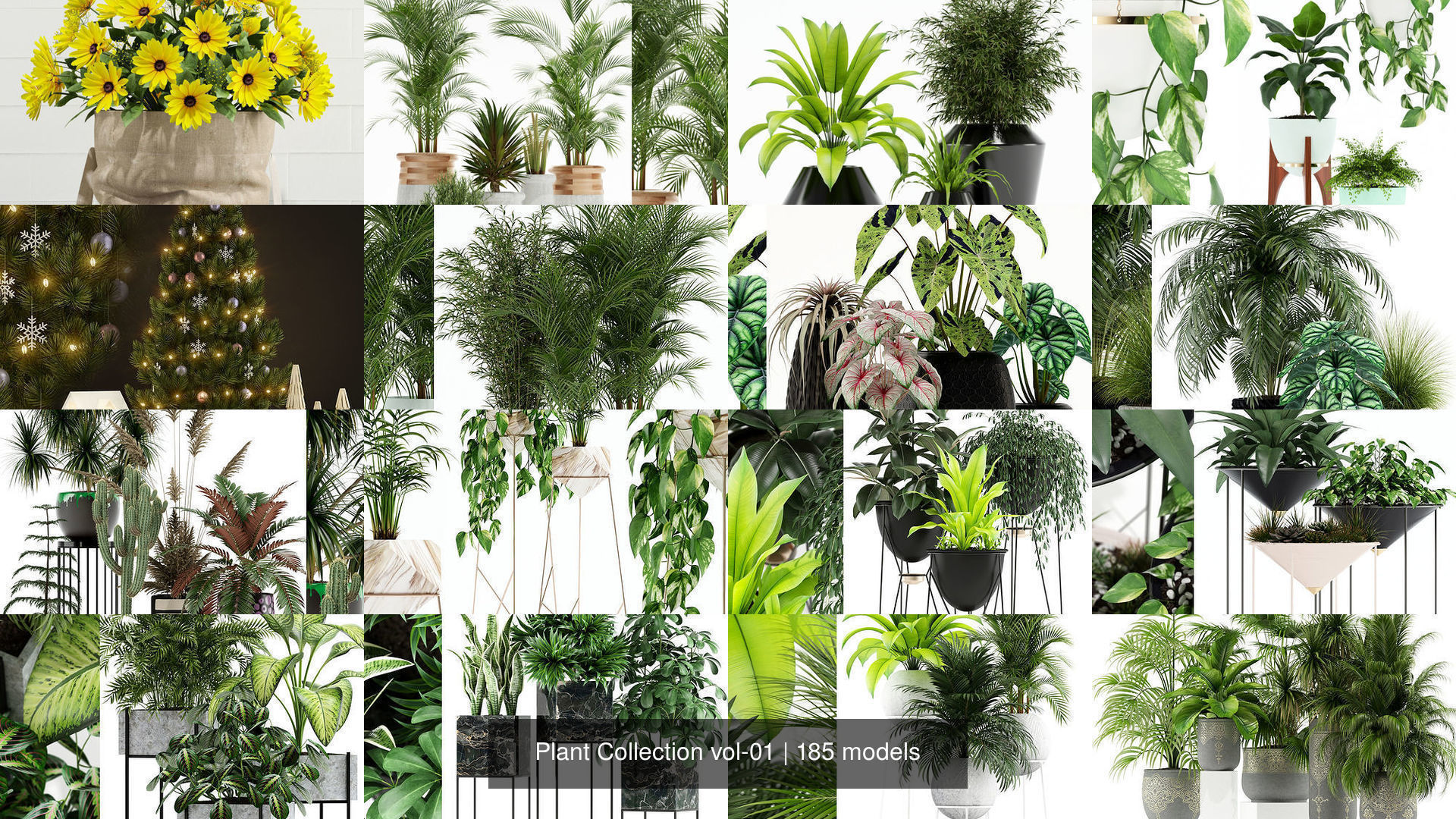 Plant Collection vol-01 _88