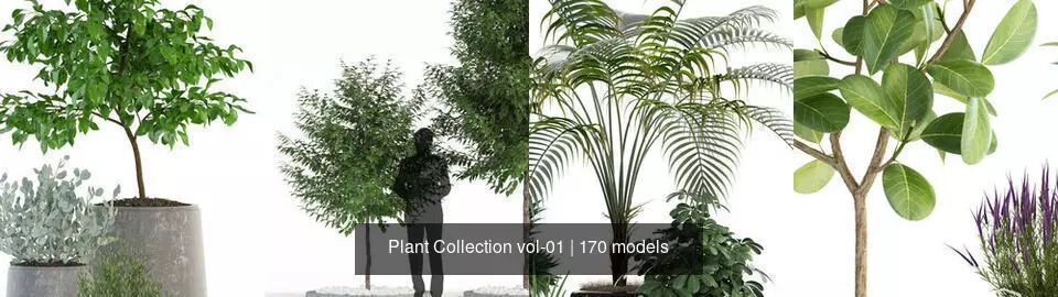 Plant Collection vol-01 _15