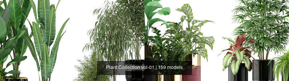 Plant Collection vol-01 _279