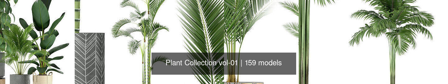 Plant Collection vol-01 _263