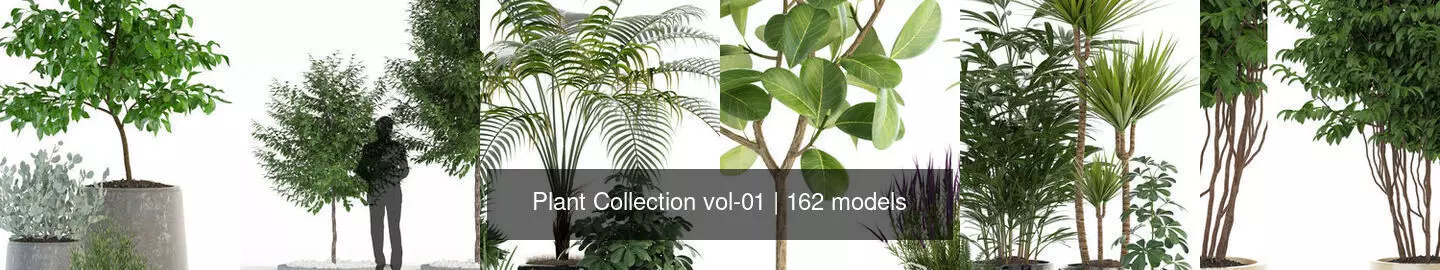 Plant Collection vol-01 _19