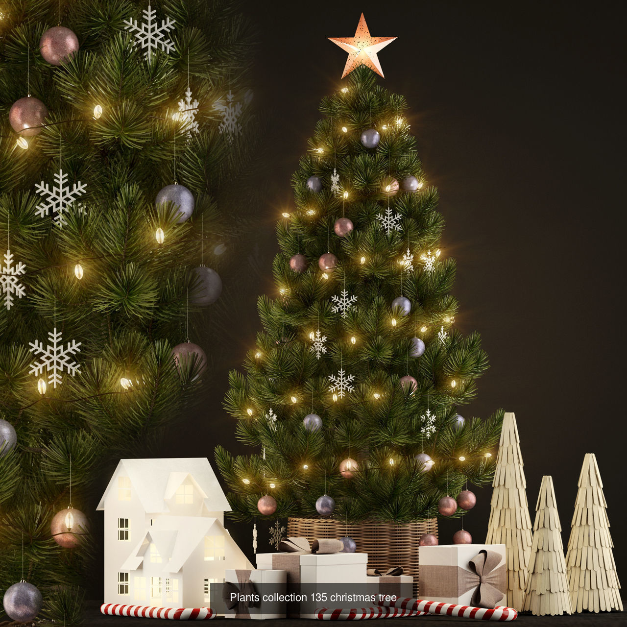 Plant Collection vol-01 _363