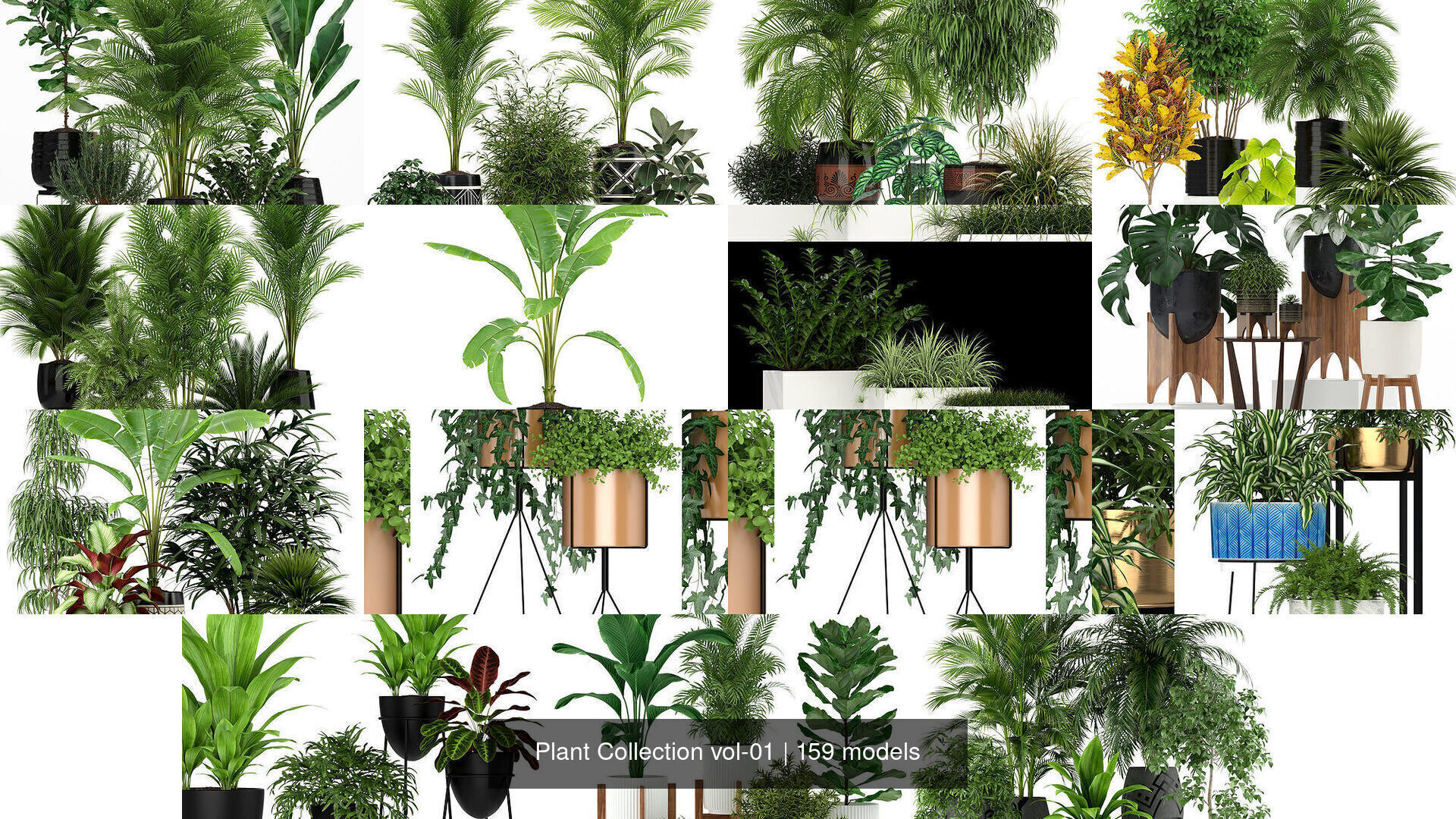 Plant Collection vol-01 _183