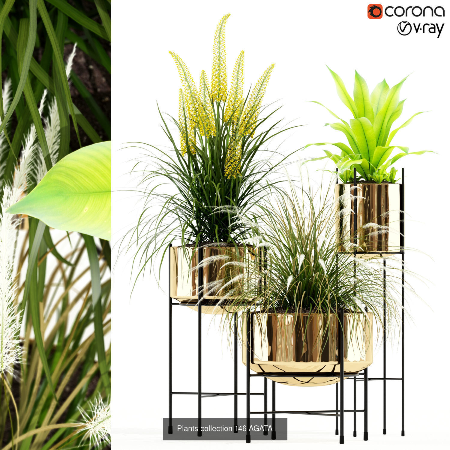 Plant Collection vol-01 _391