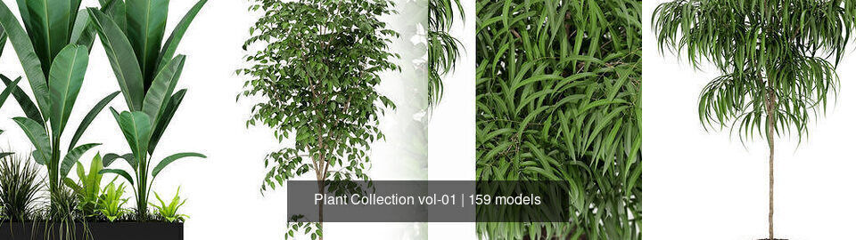 Plant Collection vol-01 _135