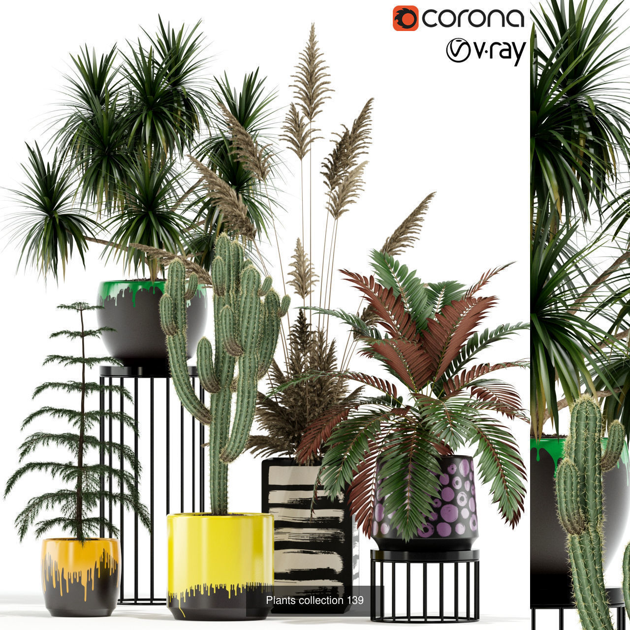 Plant Collection vol-01 _367