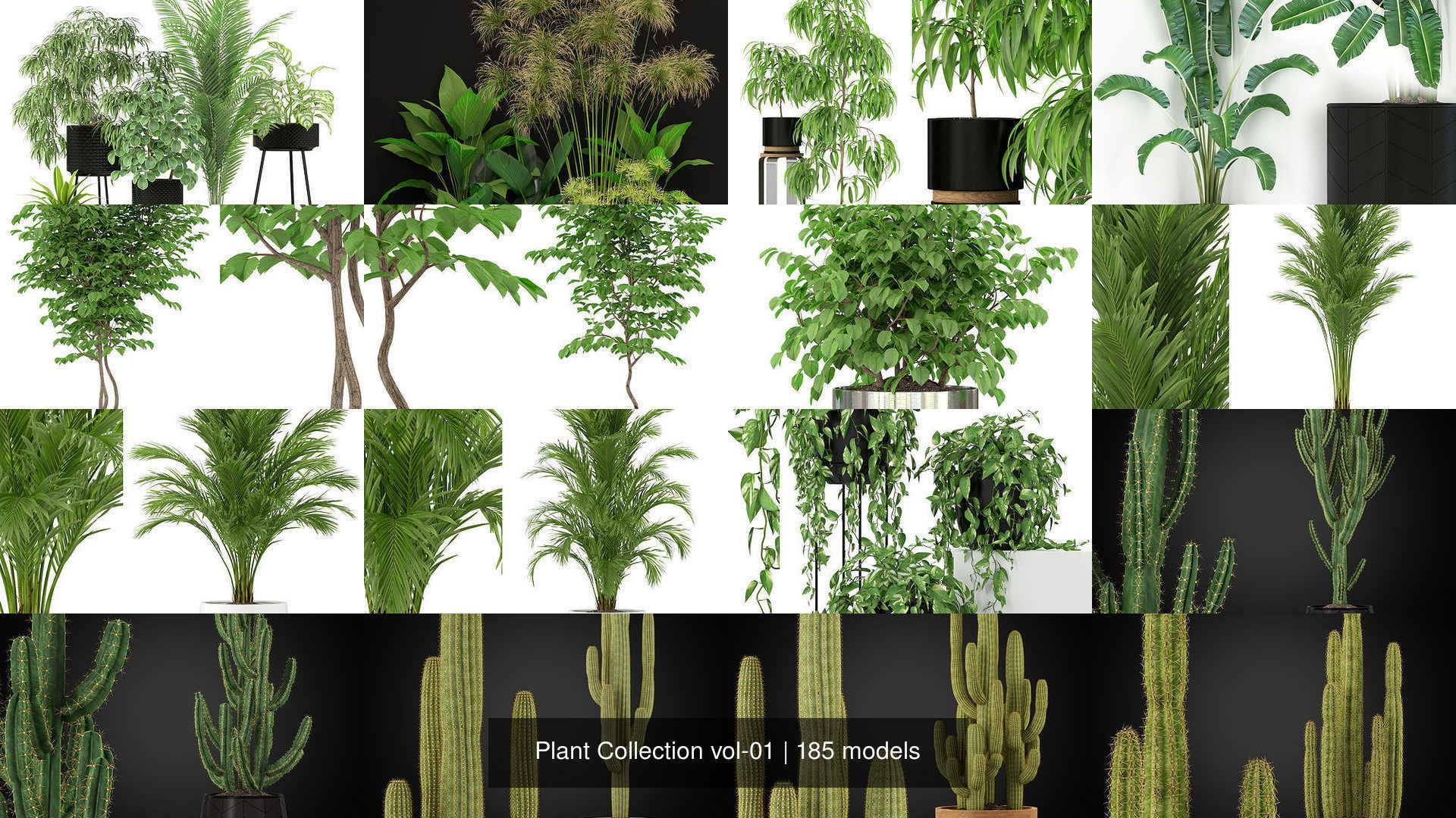 Plant Collection vol-01 _303