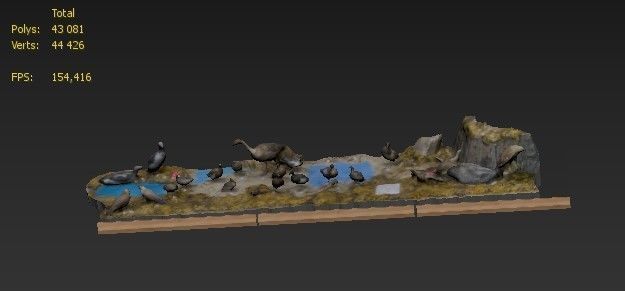 The exposition of birds 3D model_7