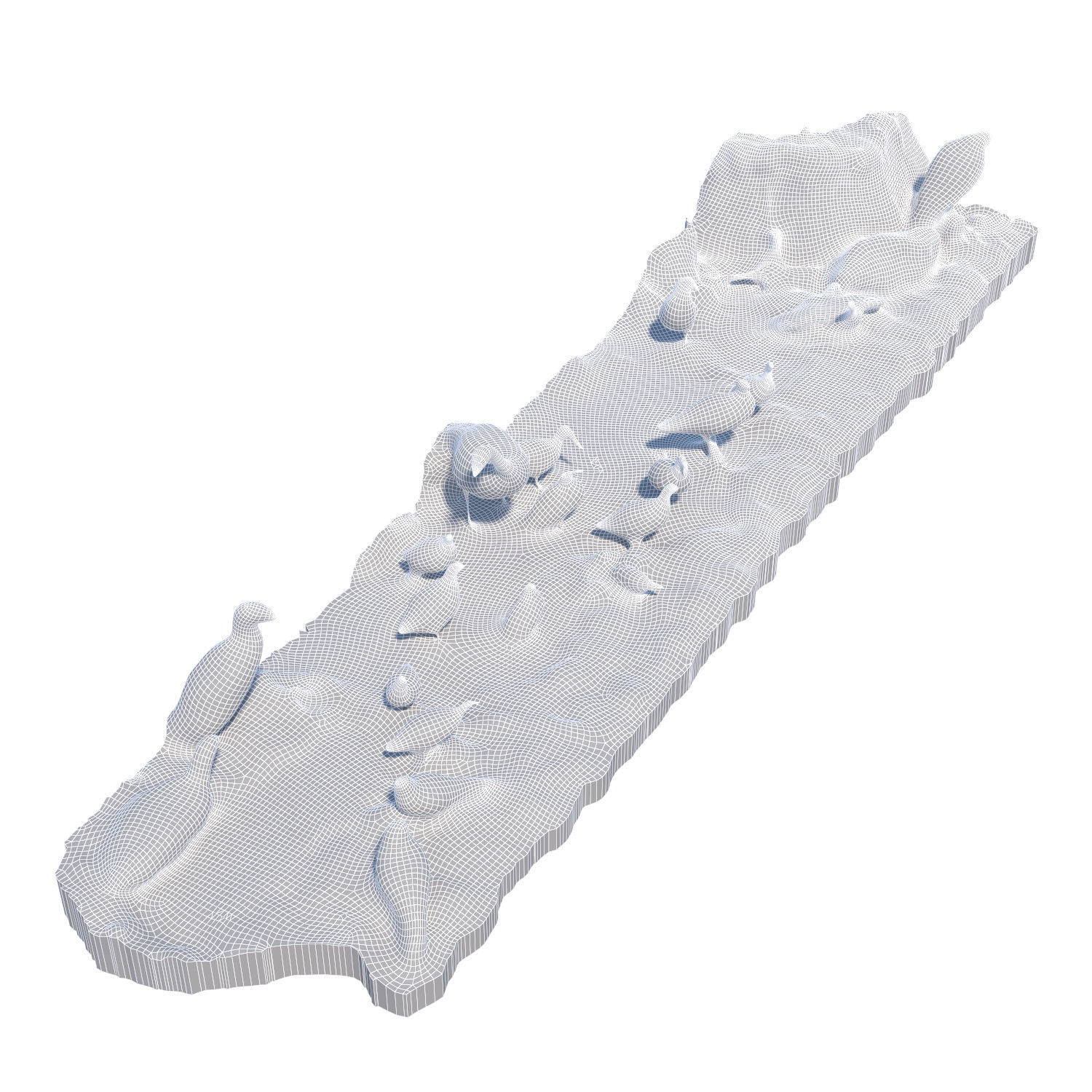 The exposition of birds 3D model_4