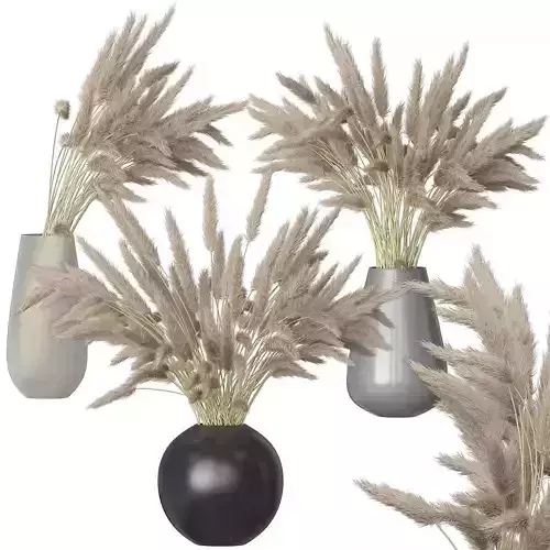 Dried flowers grass in a glass vase