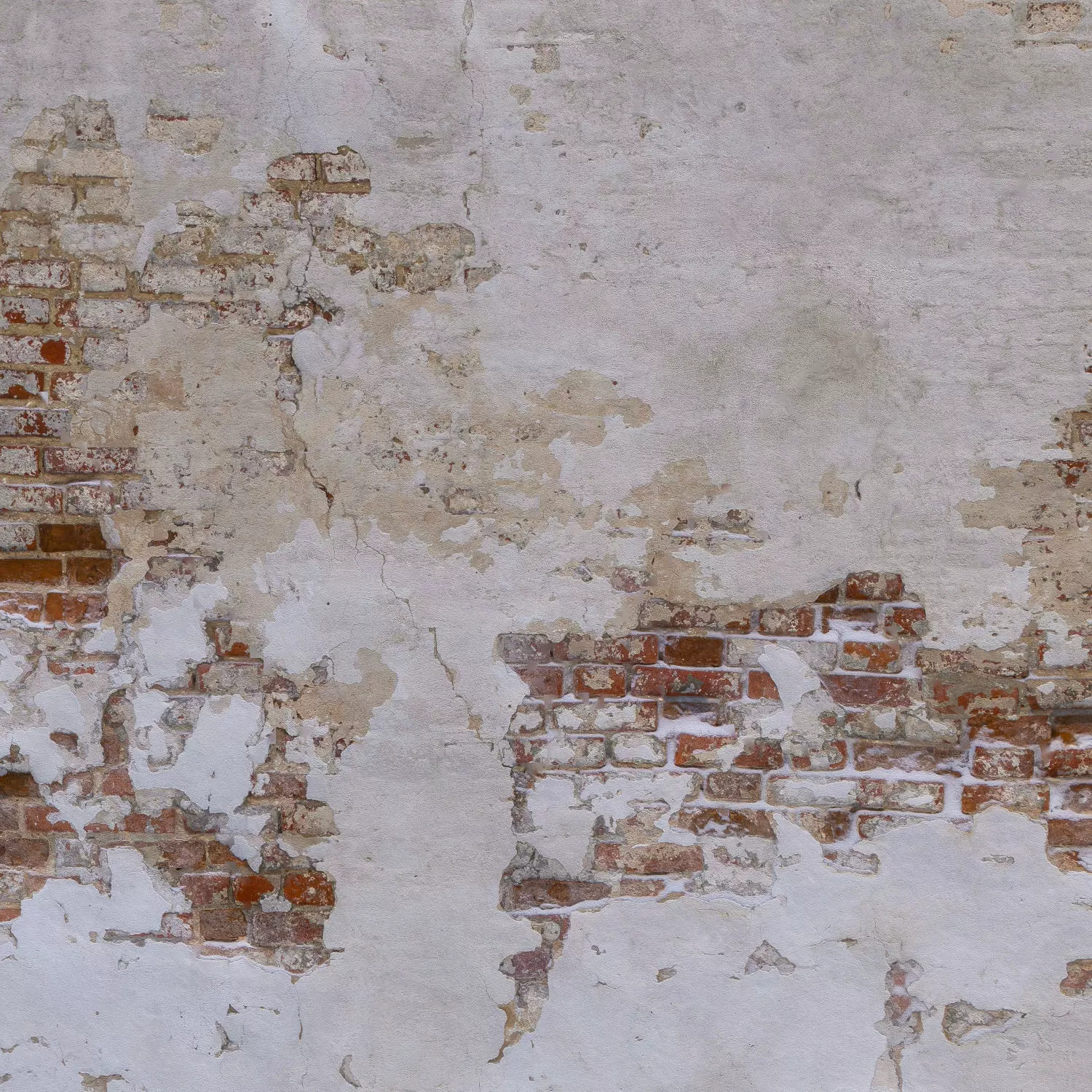 Brick wall with plaster Low-poly 3D model_0