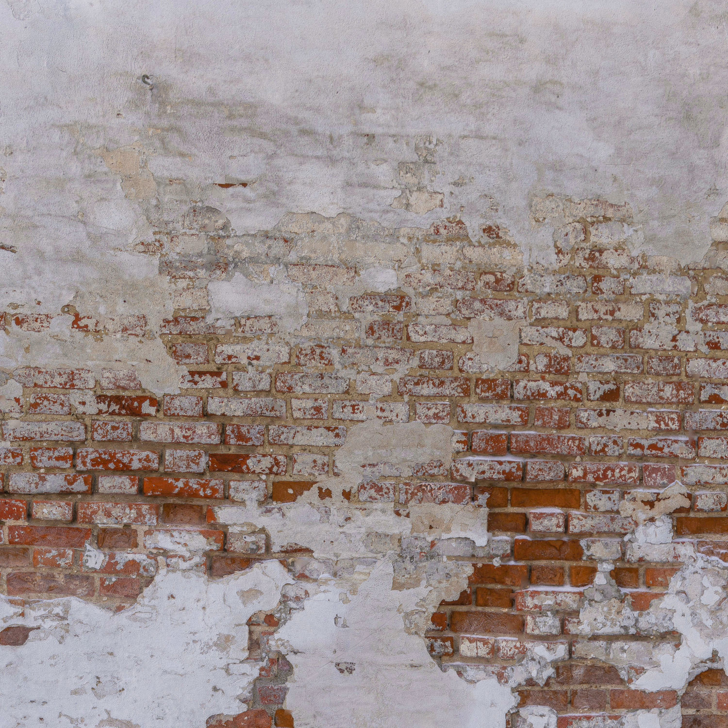 Brick wall with plaster Low-poly 3D model_10