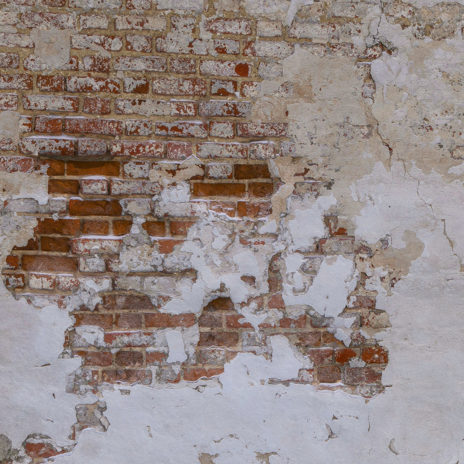 Brick wall with plaster Low-poly 3D model_6