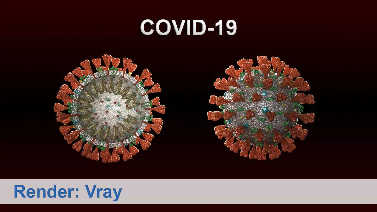 covid-19 two coronaviruses 3D model_0