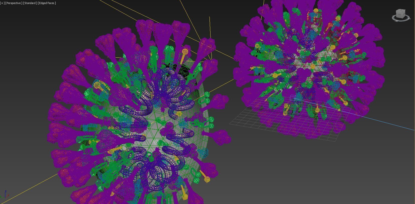 covid-19 two coronaviruses 3D model_4
